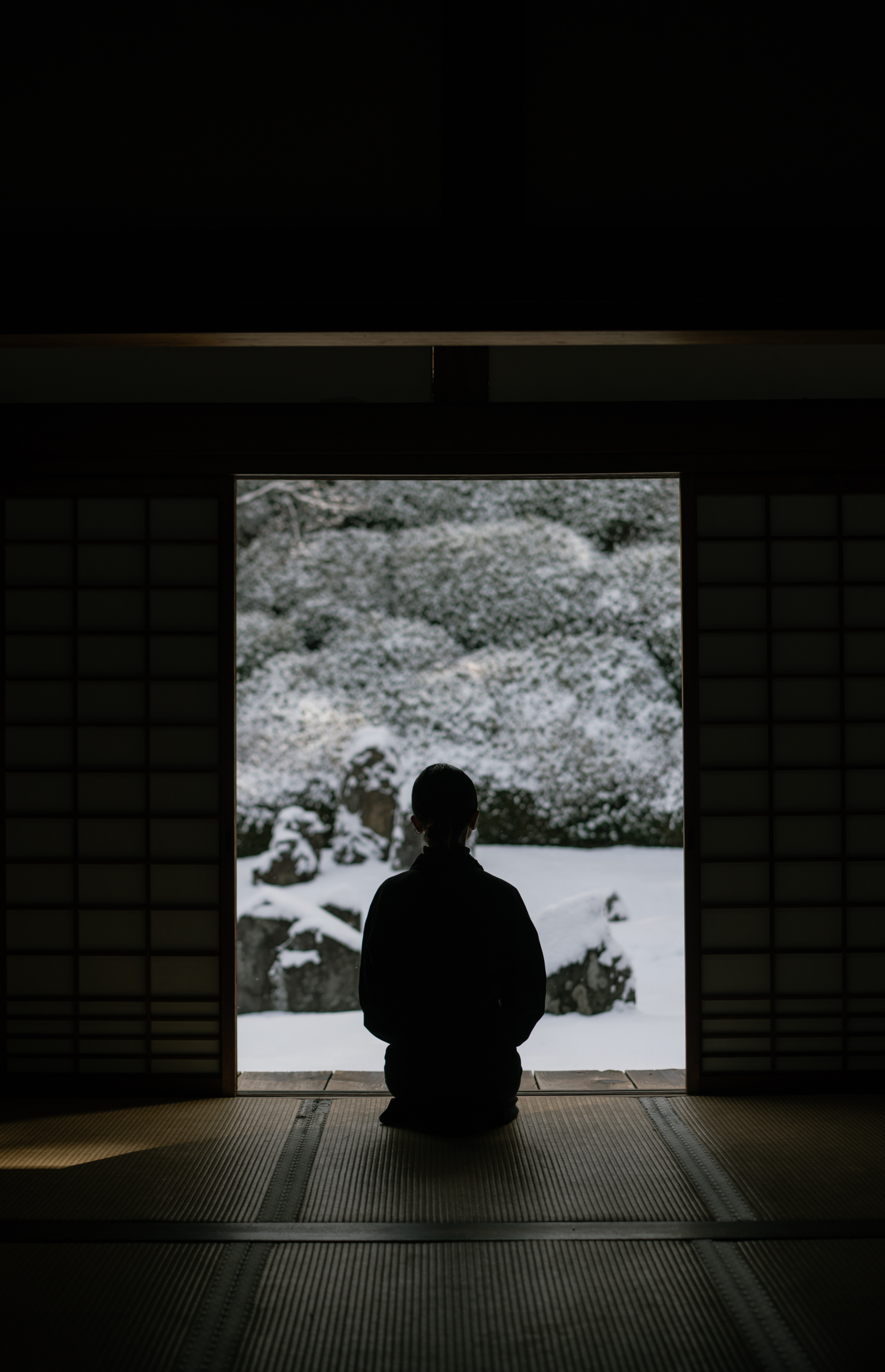 光明院の建築と雪の庭。遠くから捉えた澄虹の後ろ姿